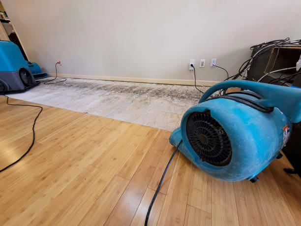 Professional Structural Drying technician working in Shenandoah, VA